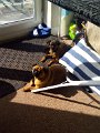 IMG-20170402-WA0004