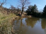 IMG_20250401_115544
