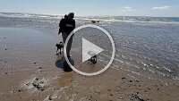 VID_20250503_151632