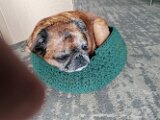 IMG_20250913_121940