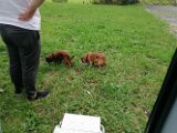 IMG_20250919_181533