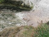 IMG_20251004_111638