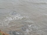 IMG_20251004_111654