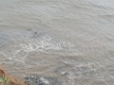 IMG_20251004_111656