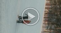 VID-20181230-WA0004