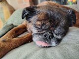 IMG_20260317_085611